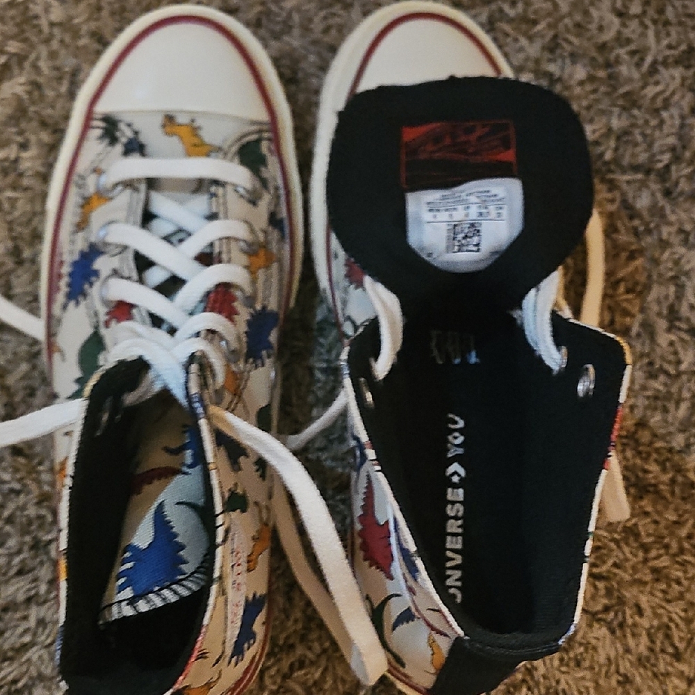 Converse Mans  Multicolor Dinosaur High-Tops - Picture 6 of 6